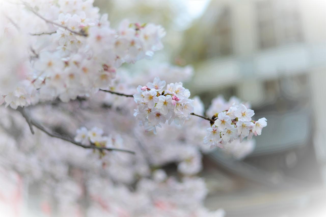 Hotel Plaza Umeshin Kitashinchi Osaka Zewnętrze zdjęcie